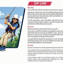 Zip Line