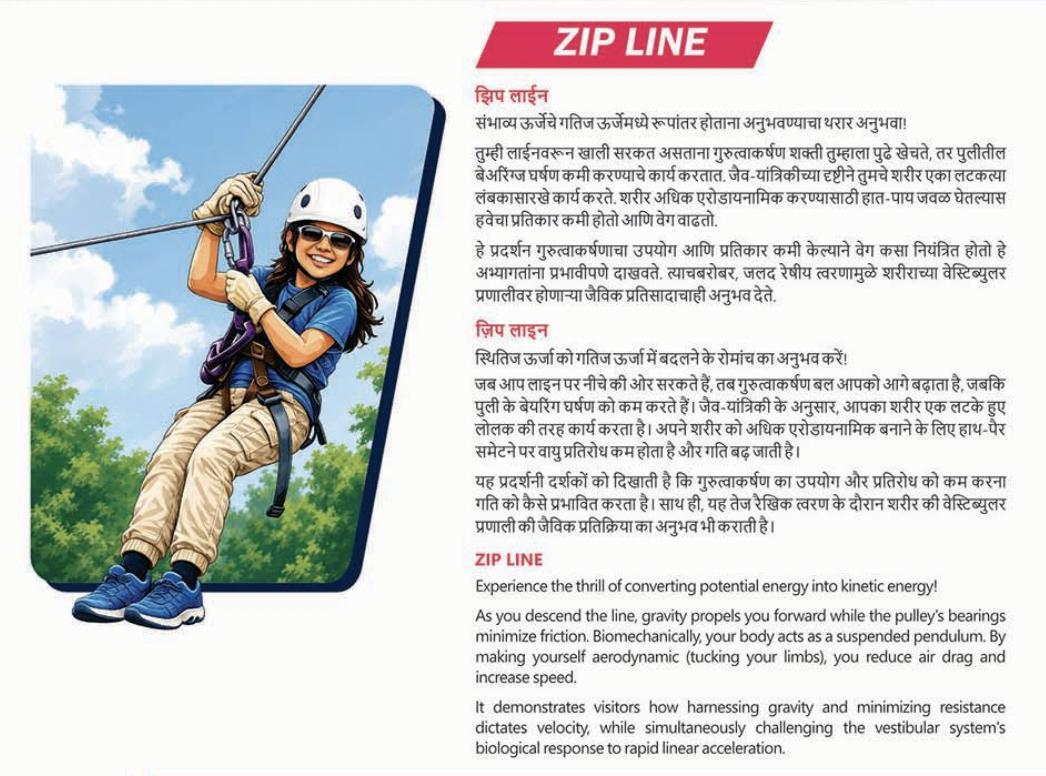 Zip Line